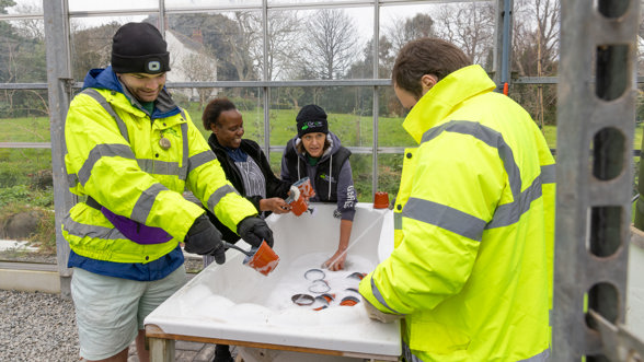 Grow Volunteers